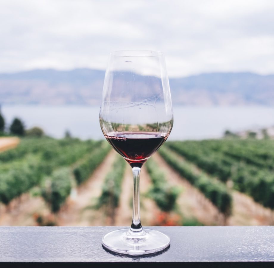wine-tour wine-tour
